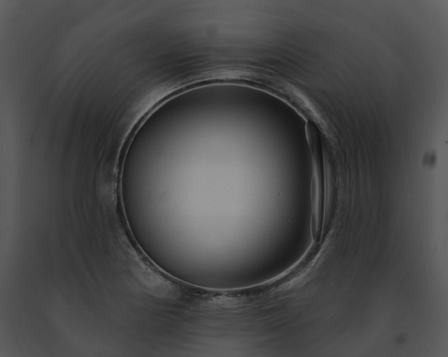 X0000091691178200708301534