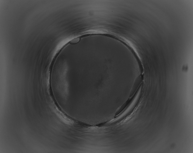 X0000091691179200708301534