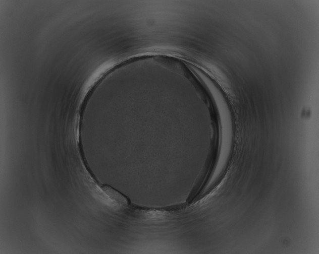 X0000091691180200708301534