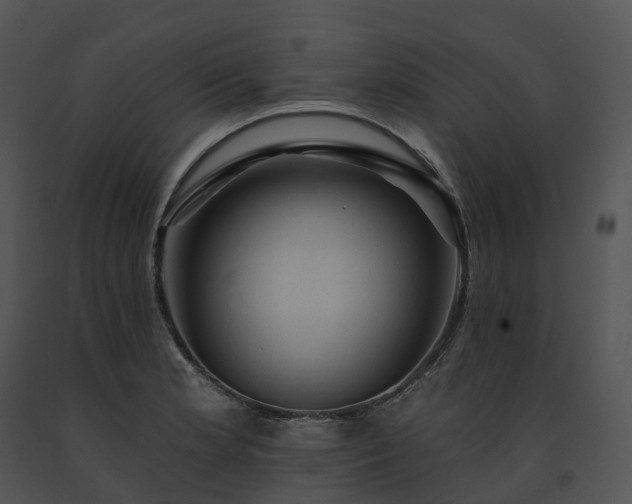 X0000091691181200708301534