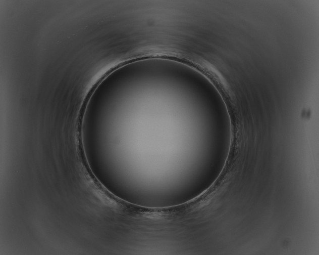 X0000091691182200708301534