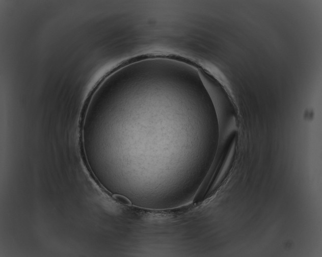 X0000091691183200708301534