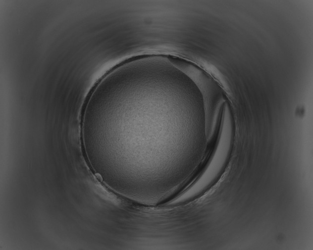 X0000091691184200708301534