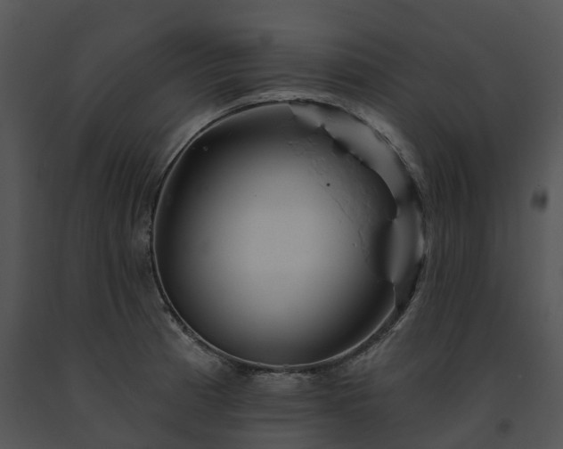 X0000091691185200708301534