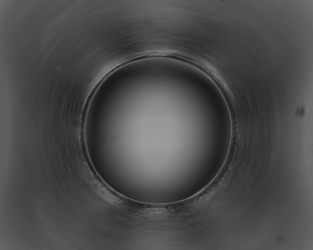 X0000091691186200708301534