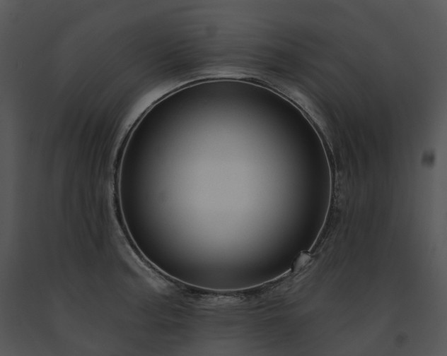 X0000091691187200708301534