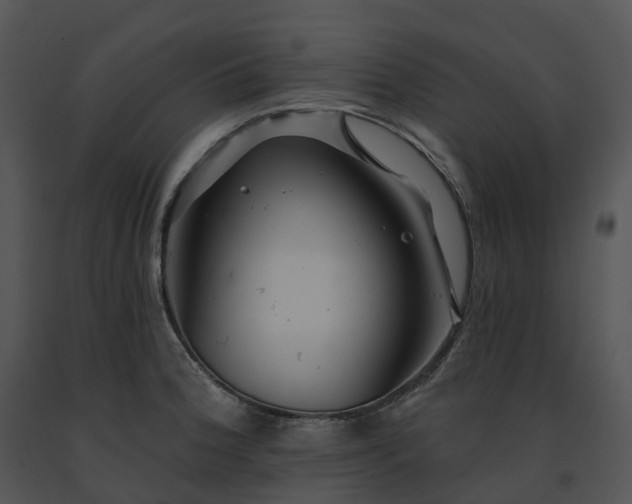 X0000091691188200708301534