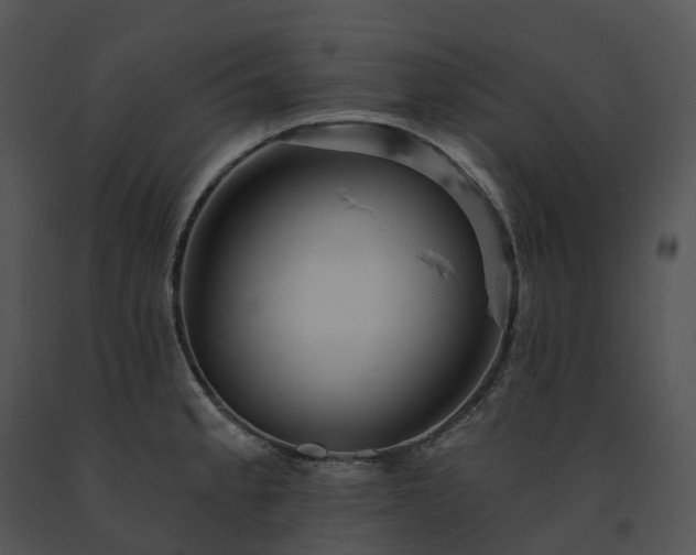 X0000091691189200708301534