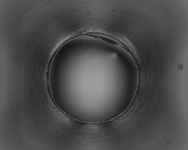 X0000091691190200708301534