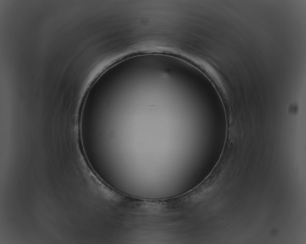 X0000091691191200708301534