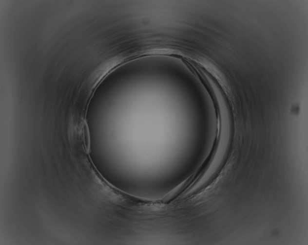 X0000091691193200708301534