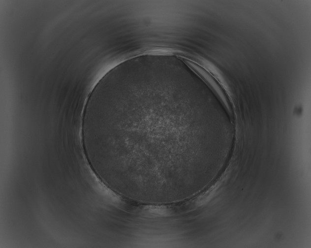 X0000091691194200708301534