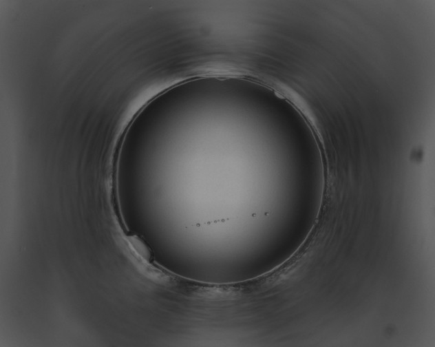 X0000091691195200708301534