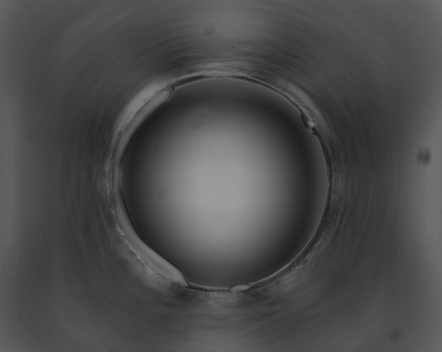 X0000091691196200708301534