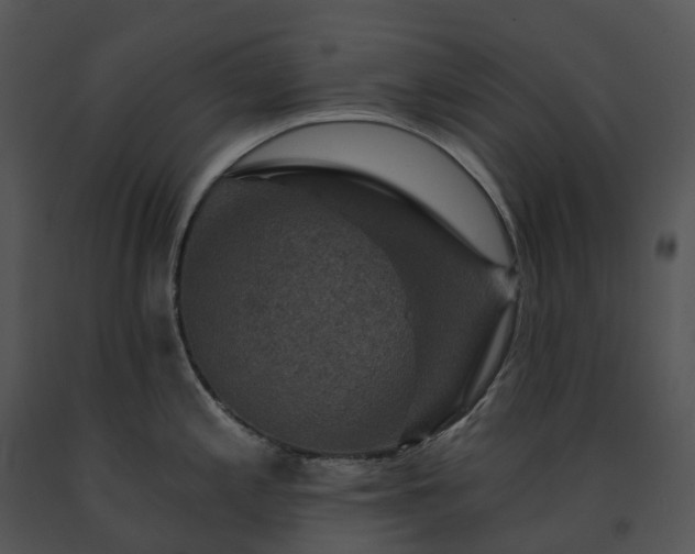 X0000091691197200708301534