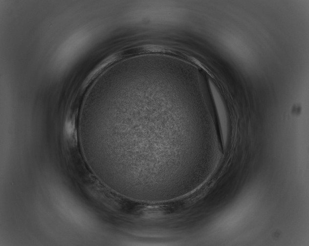 X0000091691198200708301534