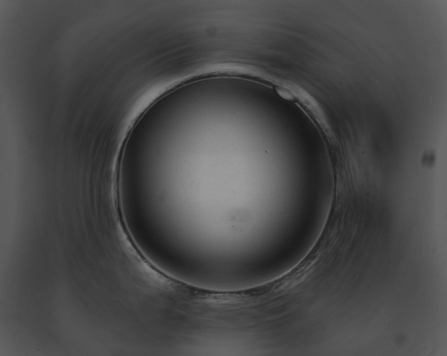 X0000091691199200708301534