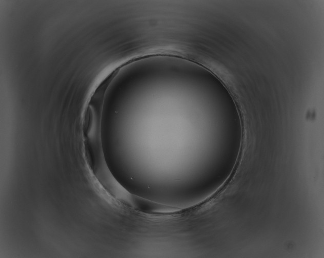 X0000091691200200708301534