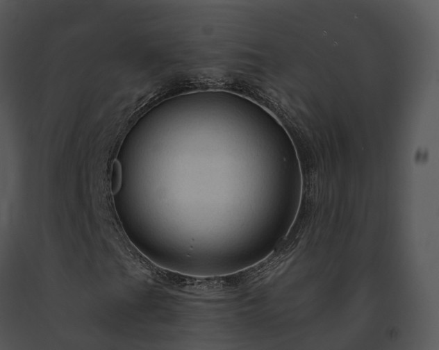 X0000091691201200708301533