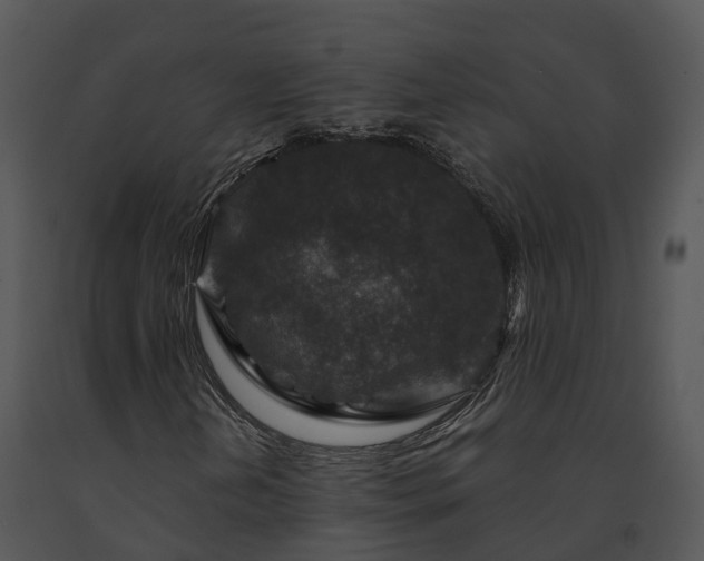 X0000091691202200708301533