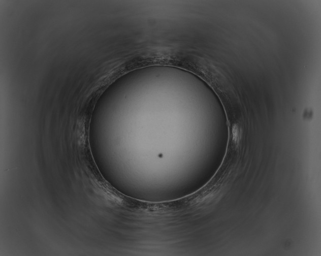 X0000091691203200708301533