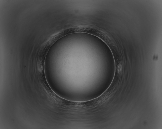 X0000091691204200708301533