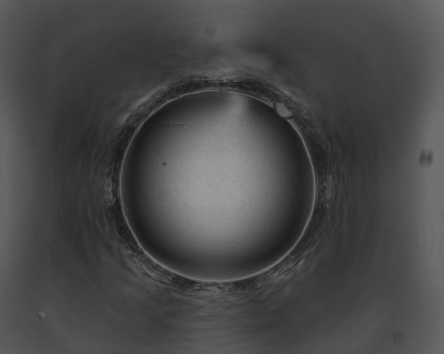 X0000091691205200708301533