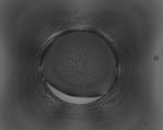 X0000091691206200708301533