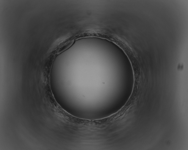 X0000091691207200708301533