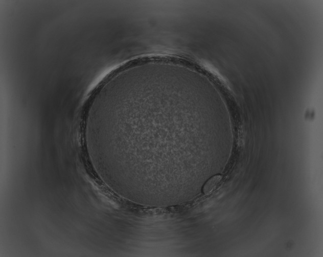 X0000091691208200708301533