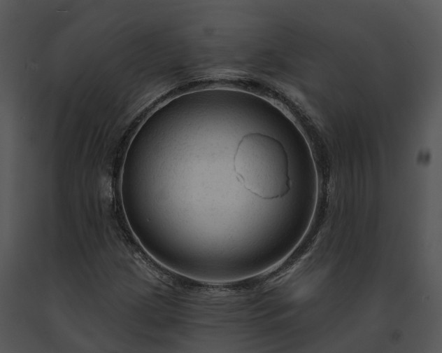 X0000091691209200708301533