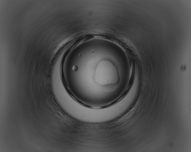 X0000091691210200708301533