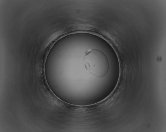 X0000091691211200708301533