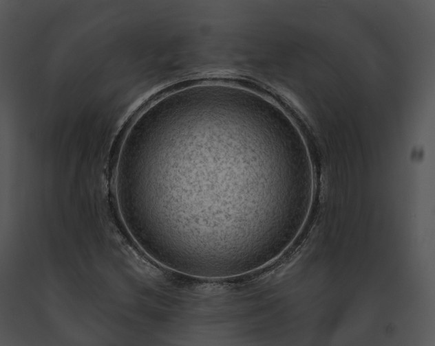X0000091691212200708301533