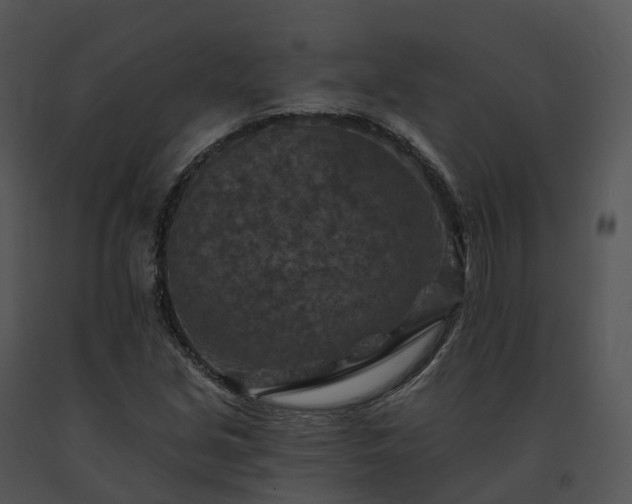 X0000091691213200708301533