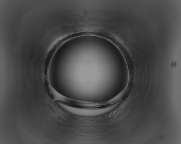 X0000091691214200708301533
