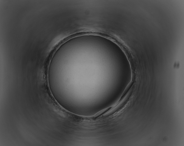 X0000091691215200708301533