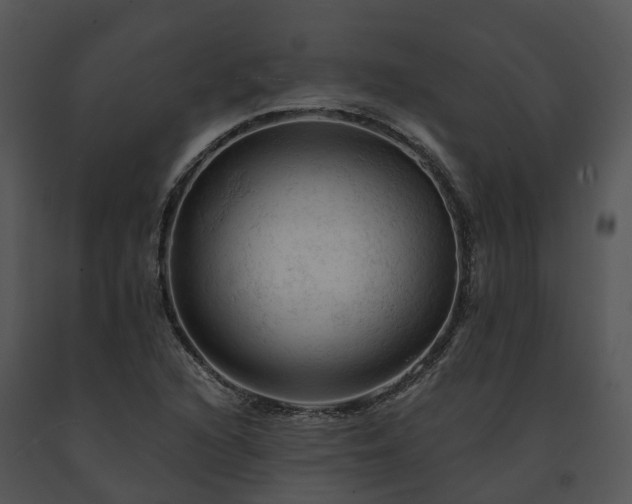 X0000091691216200708301533
