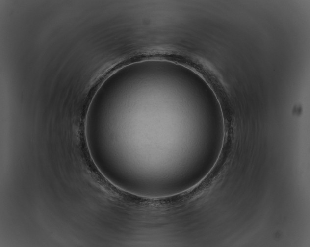 X0000091691217200708301533
