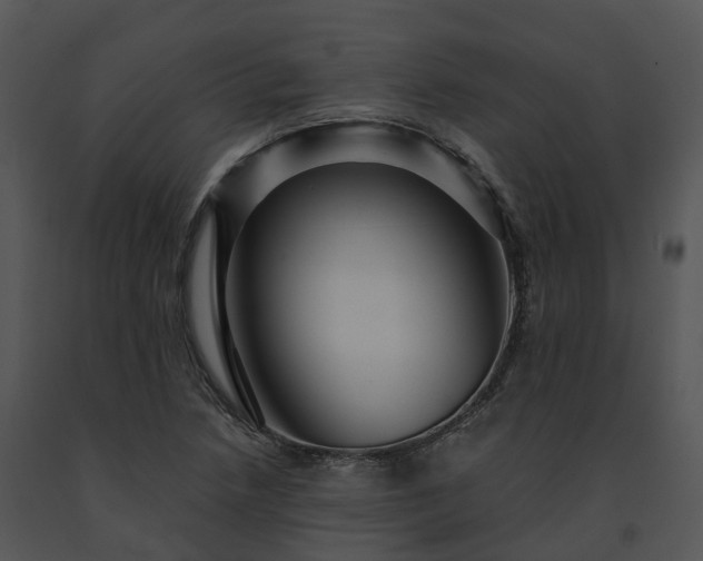 X0000091691218200708301533
