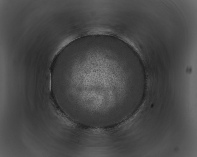 X0000091691219200708301533
