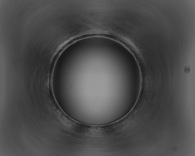 X0000091691220200708301533