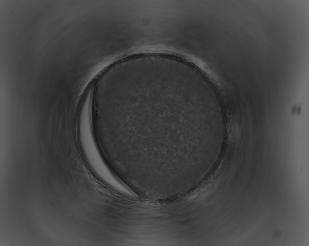 X0000091691221200708301533