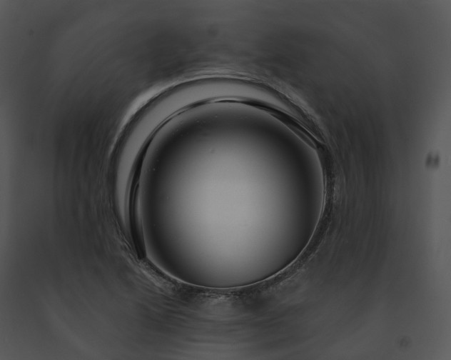 X0000091691222200708301533