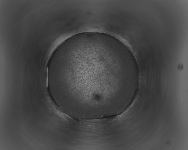 X0000091691223200708301533
