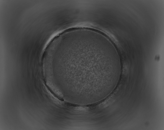 X0000091691224200708301533