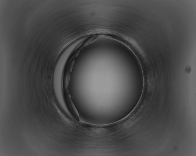X0000091691225200708301533