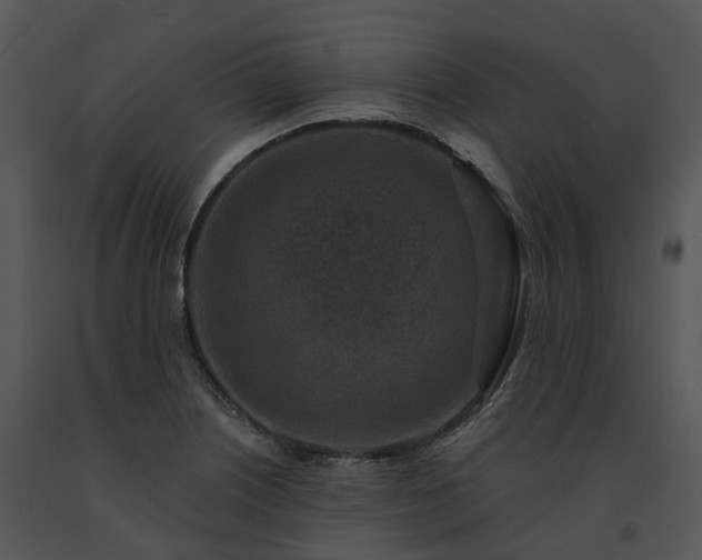 X0000091691226200708301533