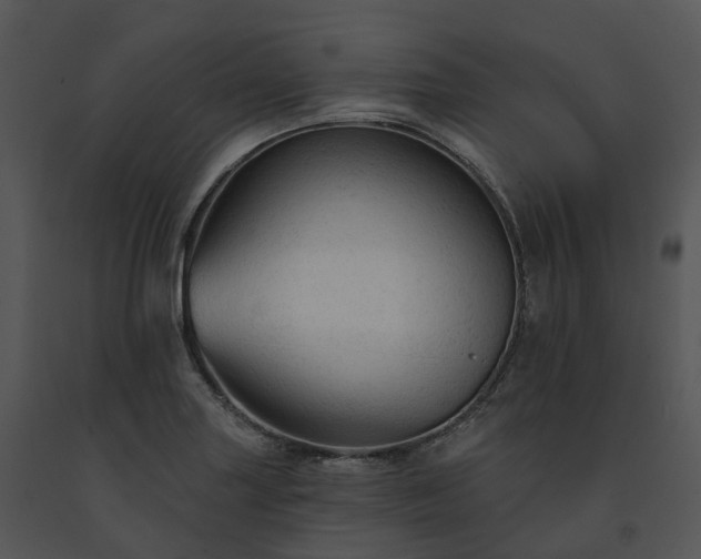 X0000091691227200708301533