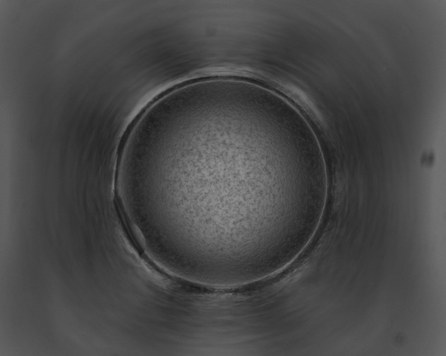 X0000091691228200708301533